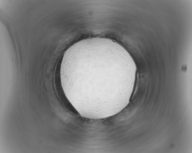 X0000090771249200708172101