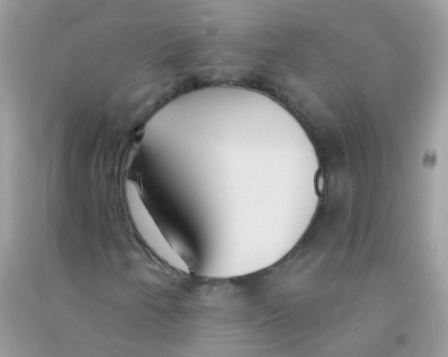 X0000090771250200708172101