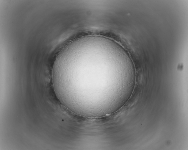 X0000090771253200708172101