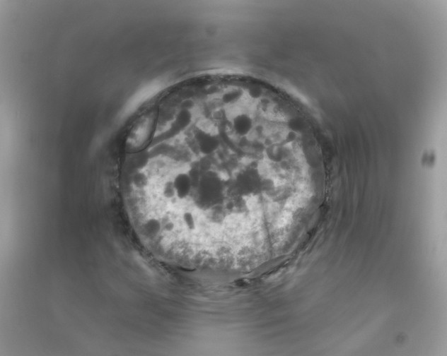 X0000090771255200708172101