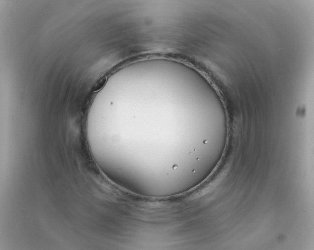 X0000090771257200708172101