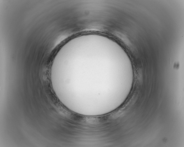 X0000090771258200708172101