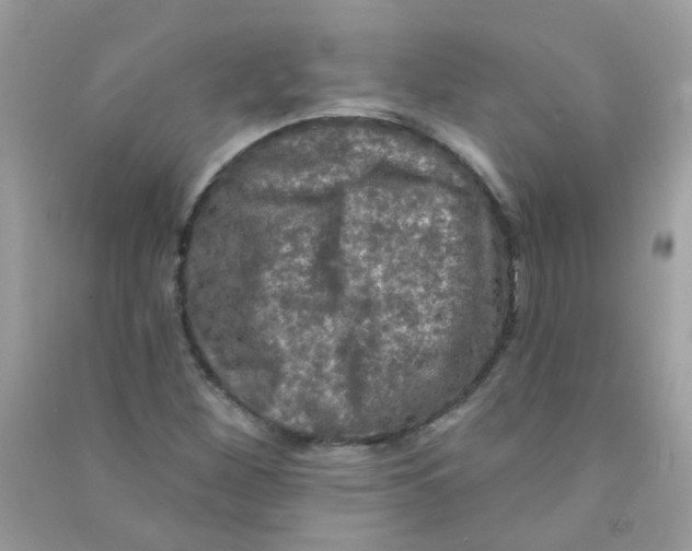 X0000090771260200708172101