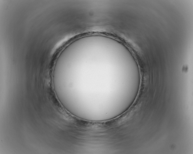 X0000090771262200708172101
