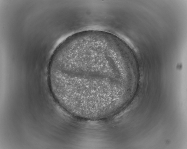 X0000090771264200708172101