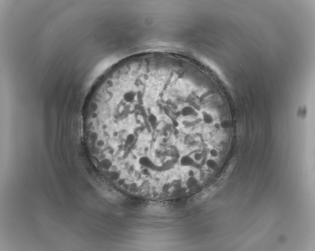 X0000090771267200708172101