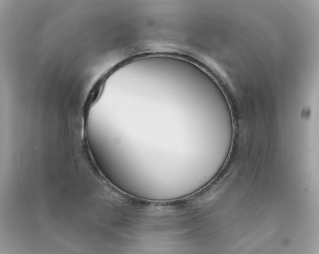 X0000090771269200708172101