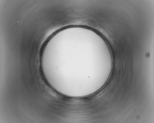 X0000090771270200708172101