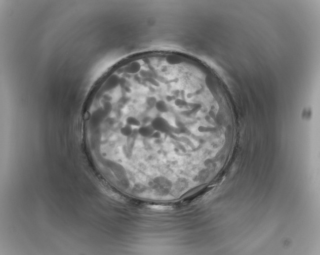 X0000090771271200708172101