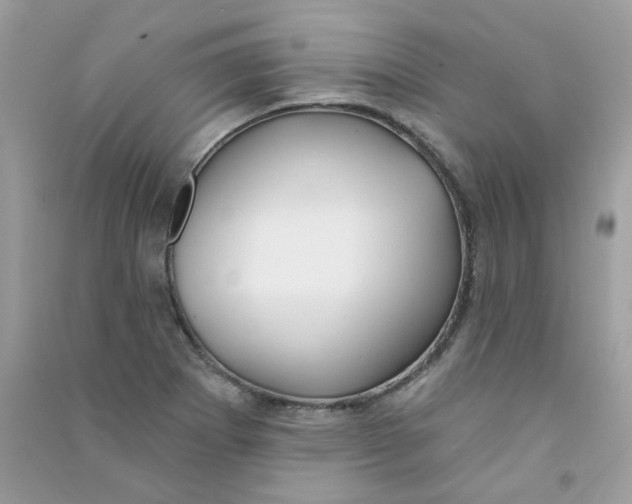 X0000090771273200708172101