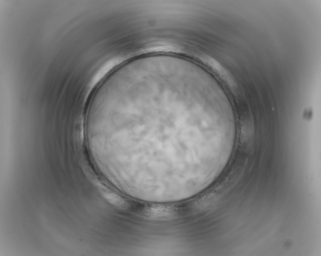 X0000090771274200708172101