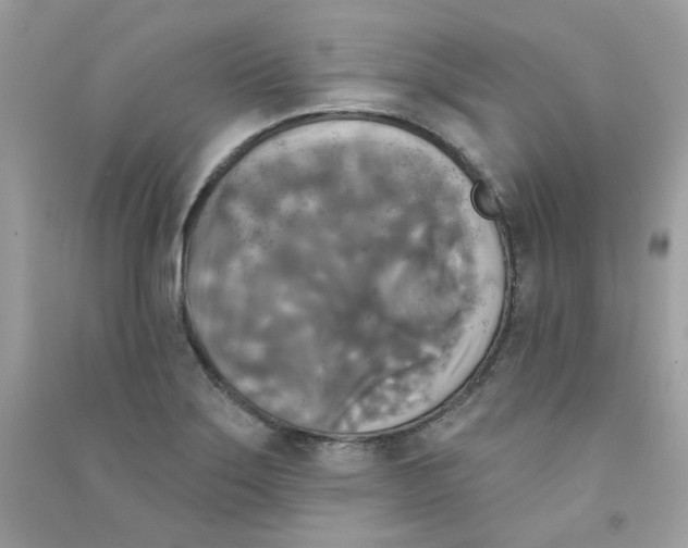 X0000090771275200708172101