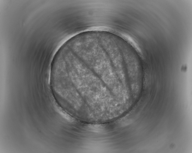 X0000090771276200708172101