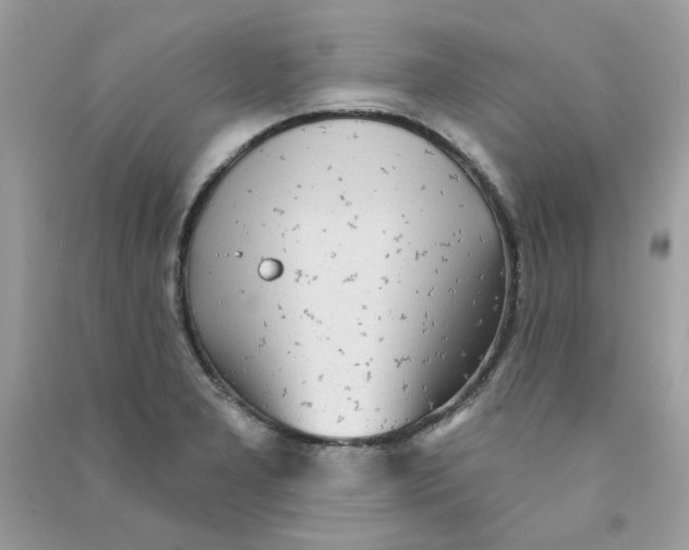 X0000090771277200708172101