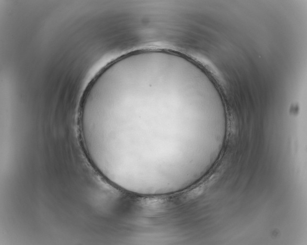 X0000090771278200708172101