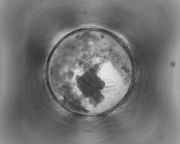 X0000090771279200708172101