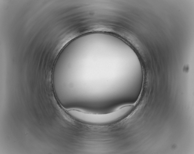 X0000090771281200708172101