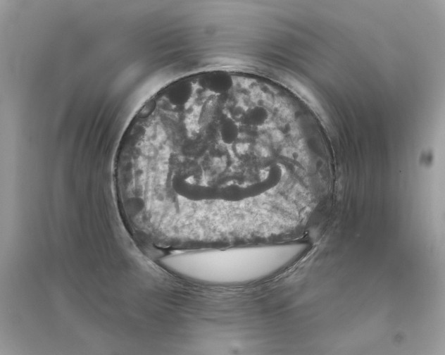 X0000090771283200708172101