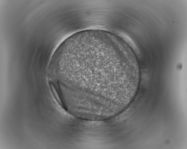 X0000090771284200708172100