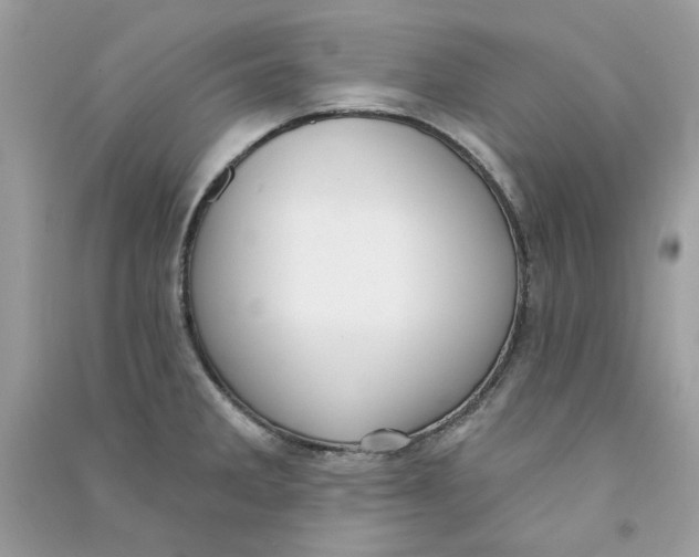 X0000090771285200708172100