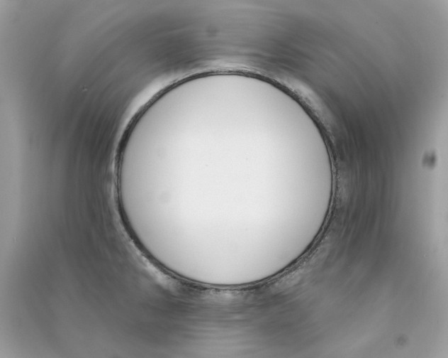 X0000090771286200708172100