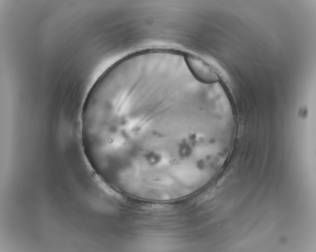 X0000090771287200708172100