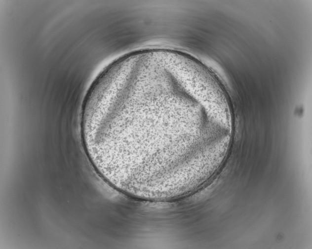 X0000090771288200708172100