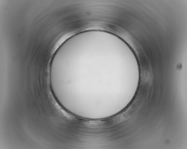 X0000090771290200708172100