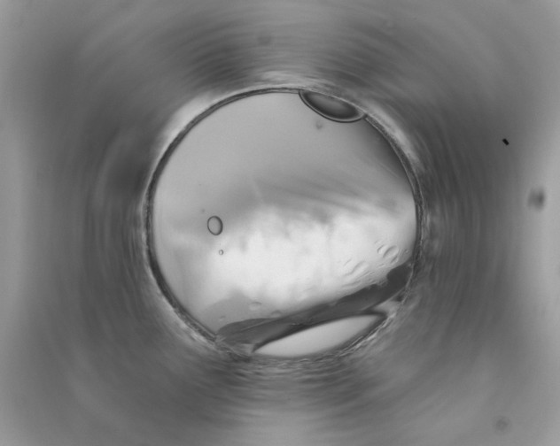 X0000090771291200708172100