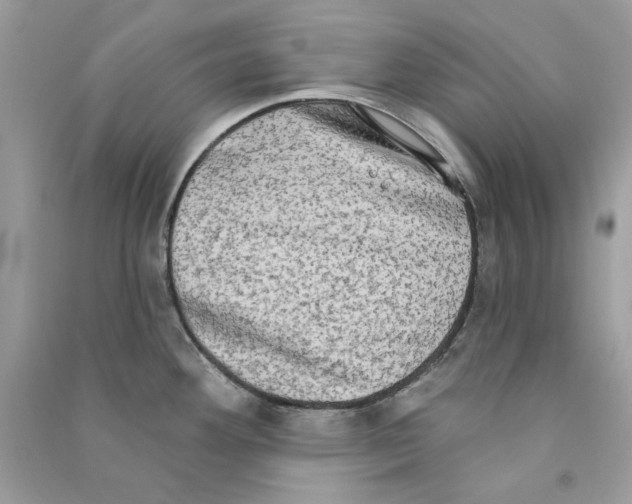 X0000090771292200708172100