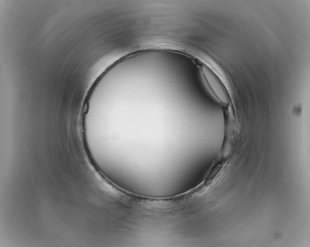 X0000090771293200708172100