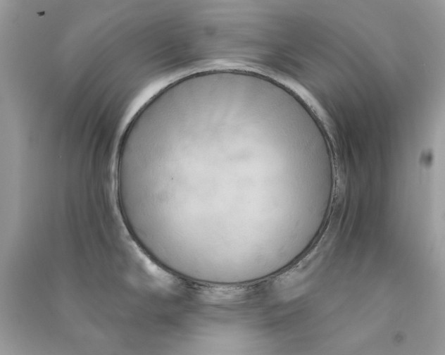 X0000090771294200708172100