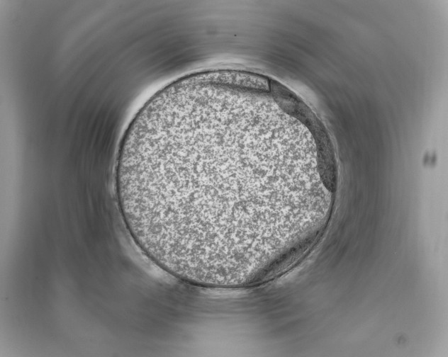 X0000090771296200708172100