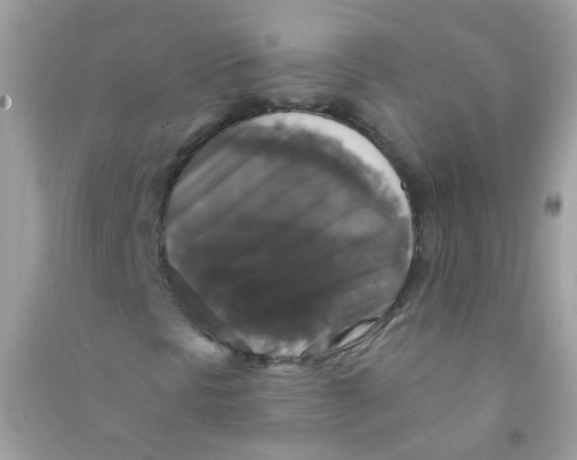 X0000090771297200708172100