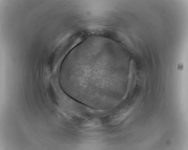 X0000090771298200708172100
