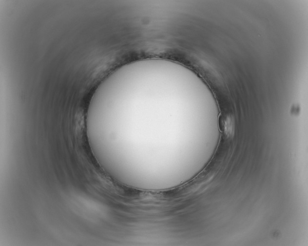 X0000090771299200708172100