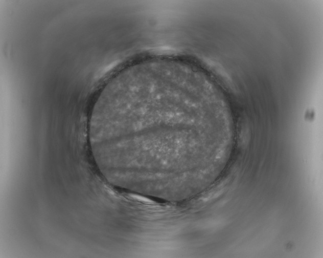 X0000090771301200708172100