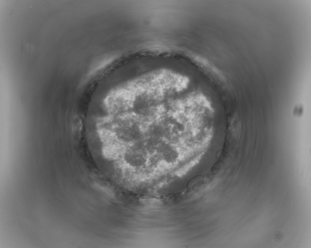 X0000090771302200708172100