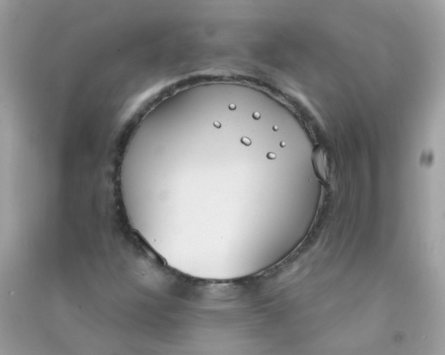 X0000090771304200708172100