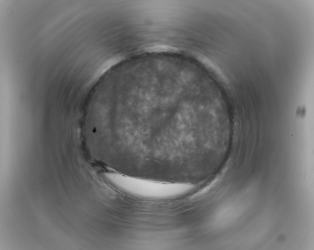 X0000090771305200708172100