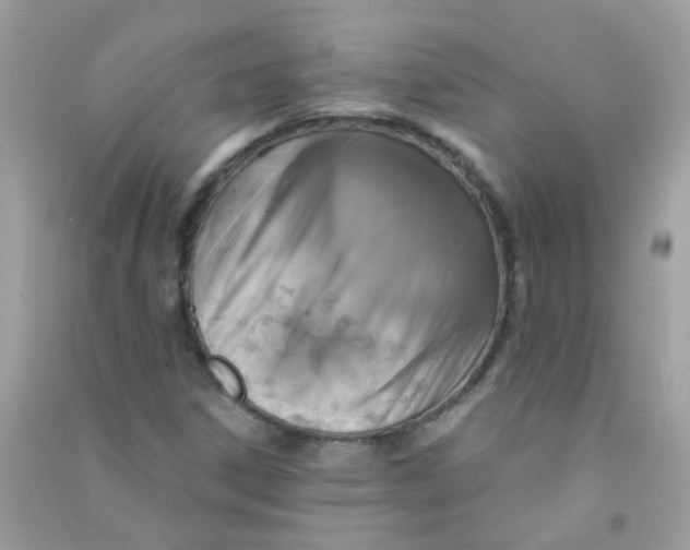 X0000090771306200708172100