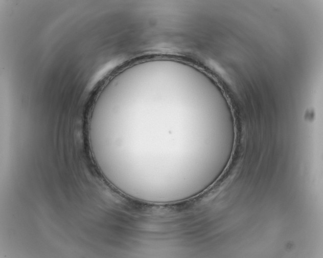 X0000090771307200708172100