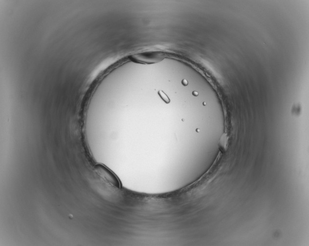 X0000090771308200708172100