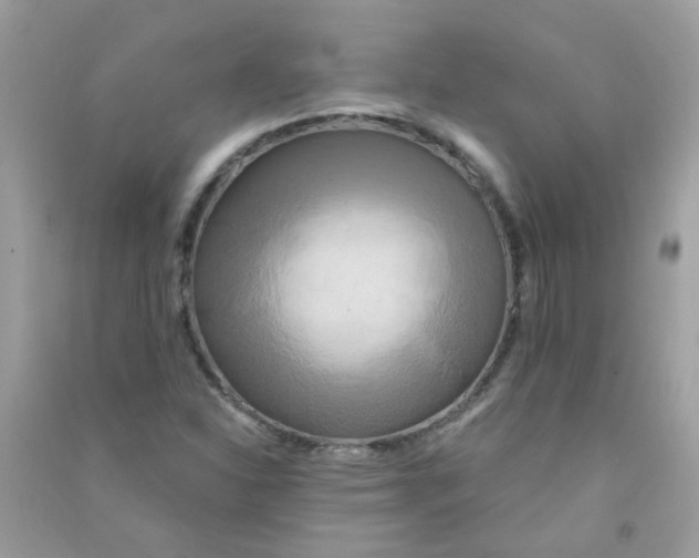 X0000090771310200708172100