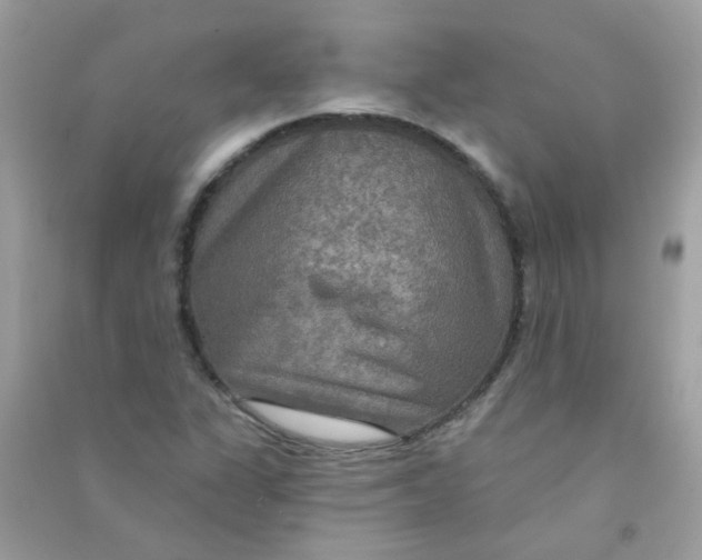 X0000090771311200708172100
