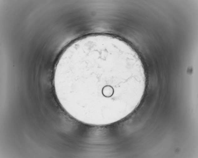 X0000090771314200708172100