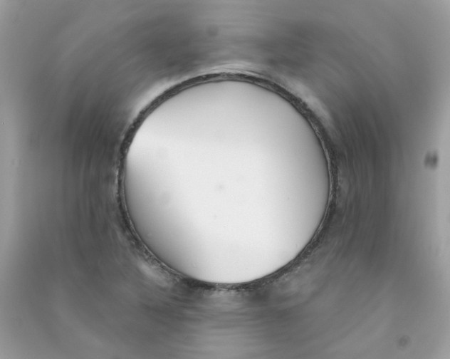 X0000090771316200708172100