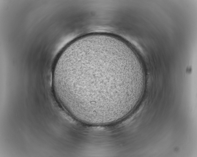 X0000090771317200708172100