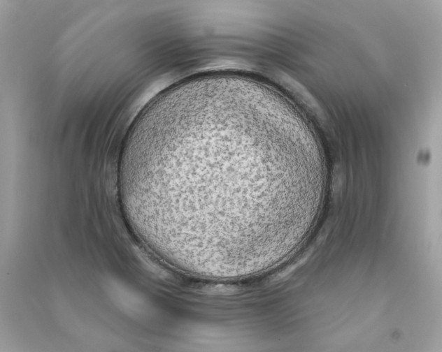 X0000090771321200708172100