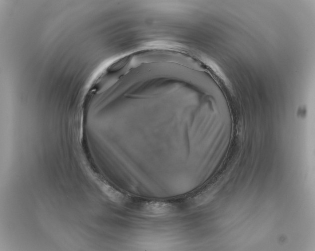 X0000090771323200708172100
